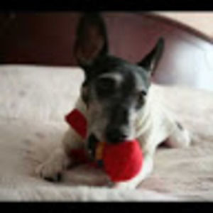 Meet your Posher, Kl